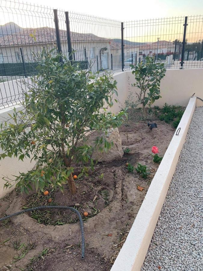 Entre Mer&Montagne Suite Calvi קלנצאנה מראה חיצוני תמונה